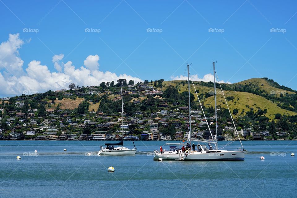 Boating Near Sausalito In San Francisco Bay