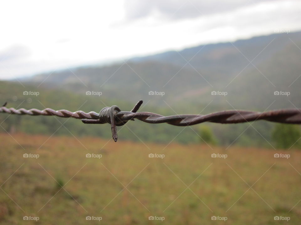 barbed wire