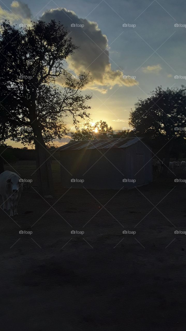 sunset