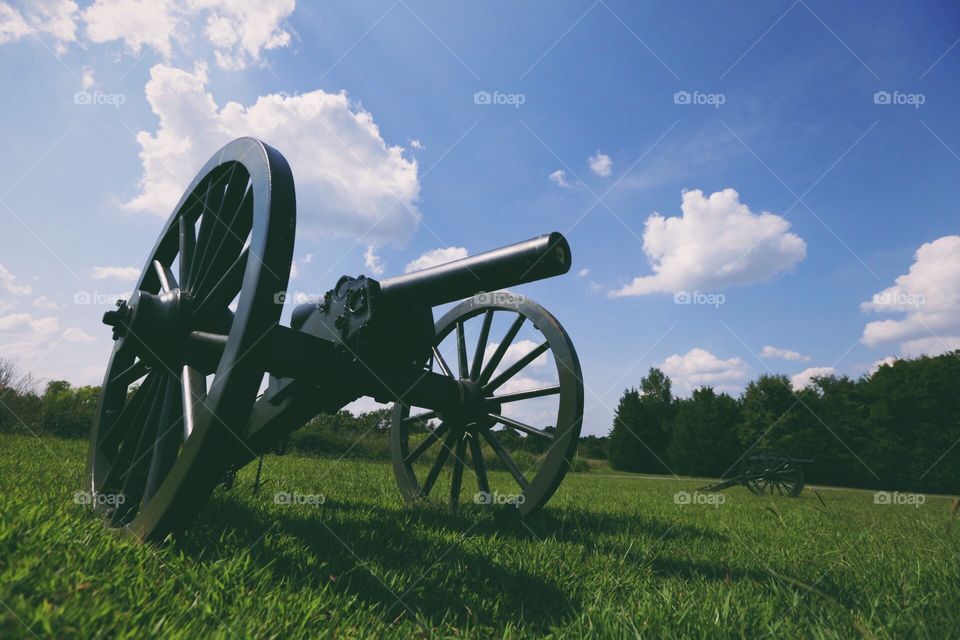 Cannon 