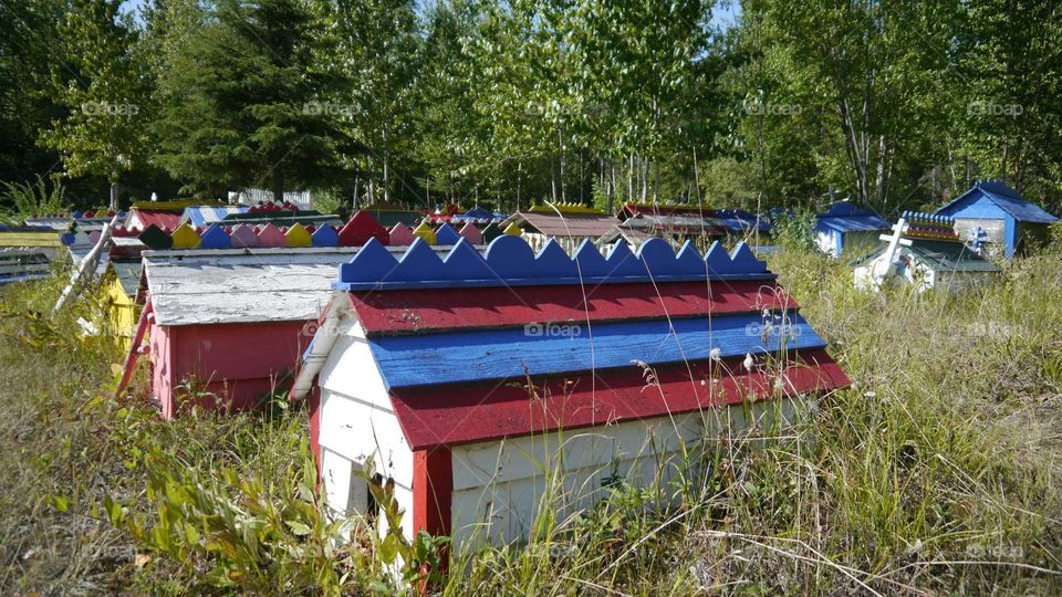 No Person, Wood, Outdoors, Landscape, Summer