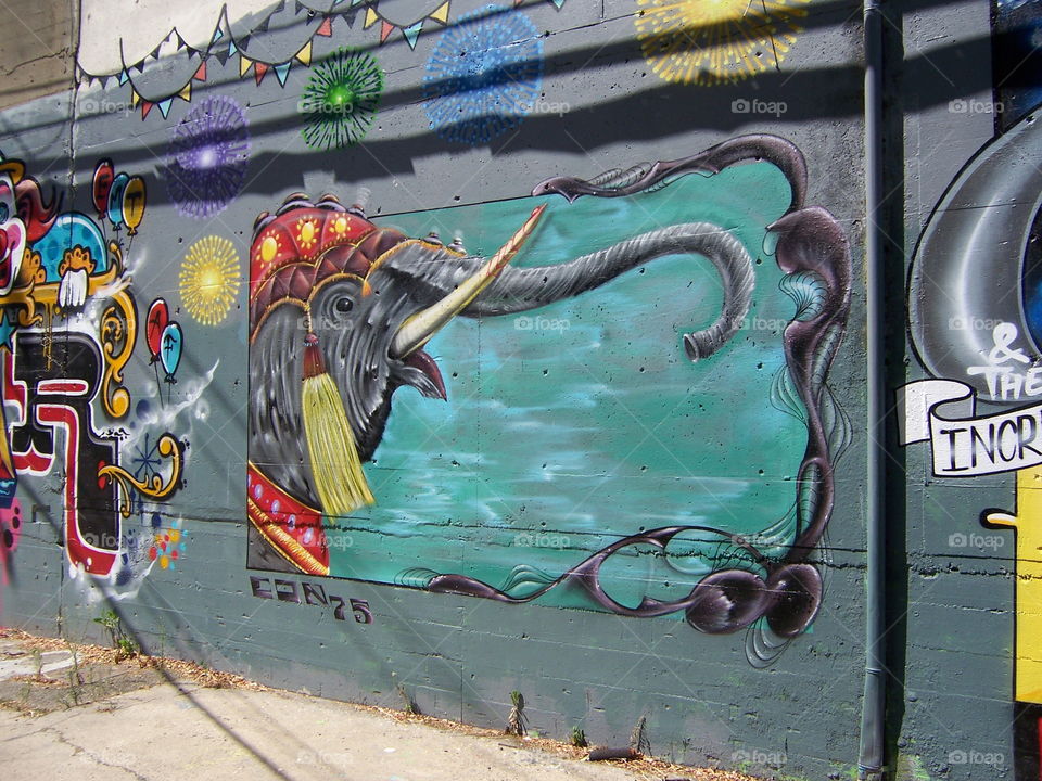 elephant. driving through the alley