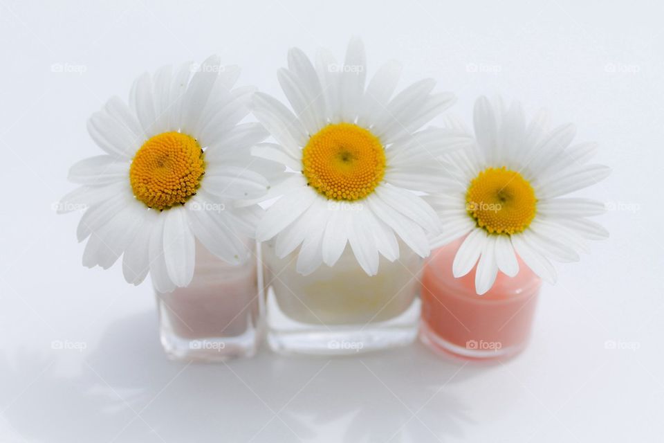 Three feminine daisies