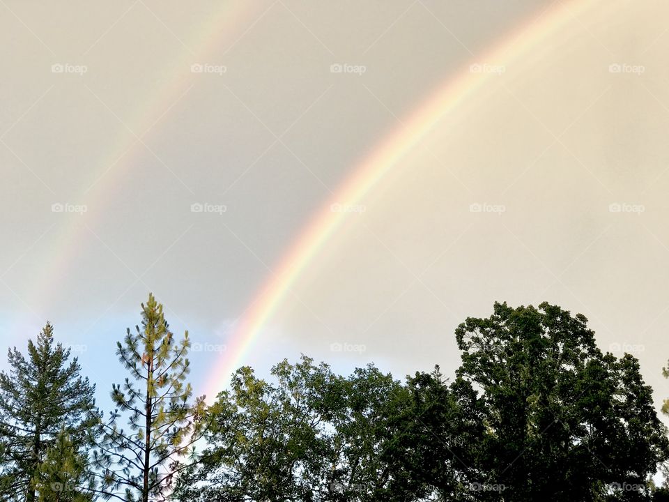 The Light at the end of the Rainbow. 