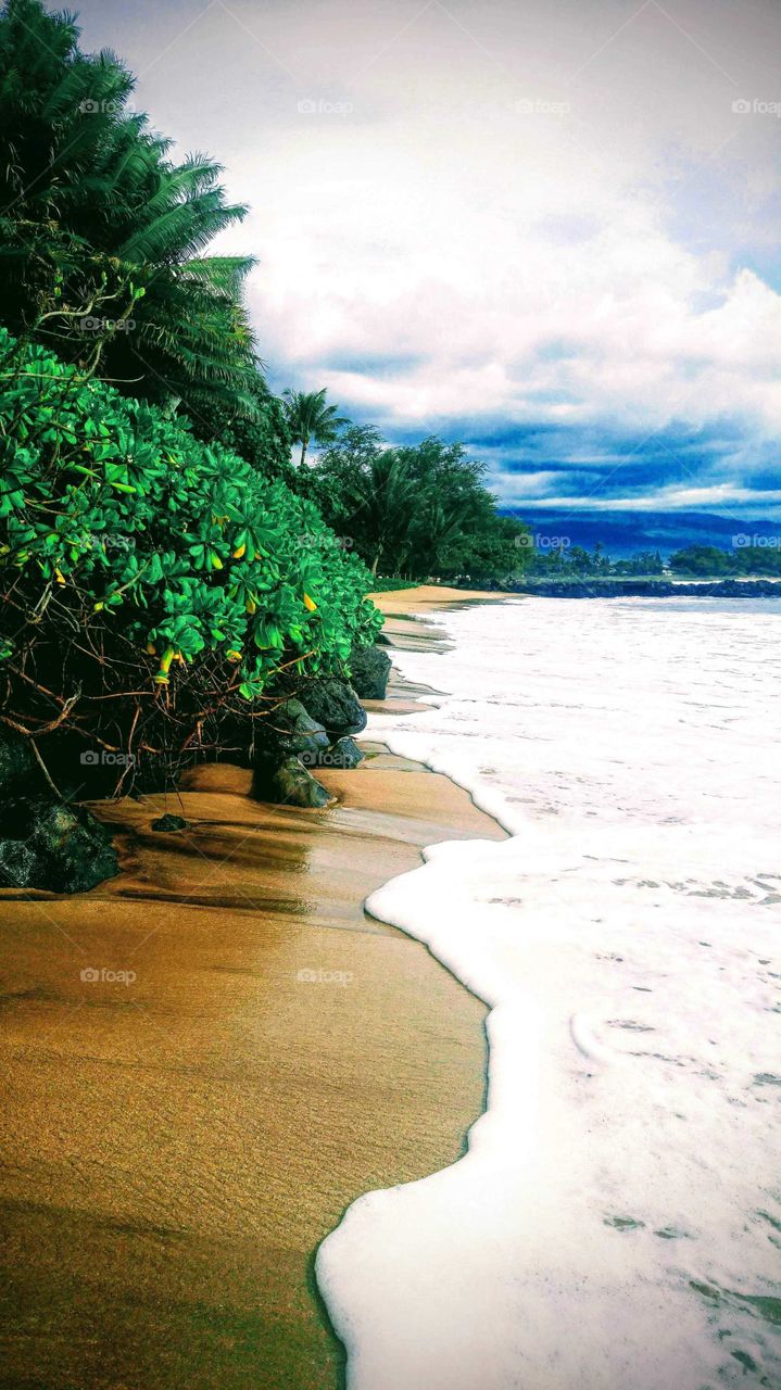 an early walk on the beach in Maui Hawaii
