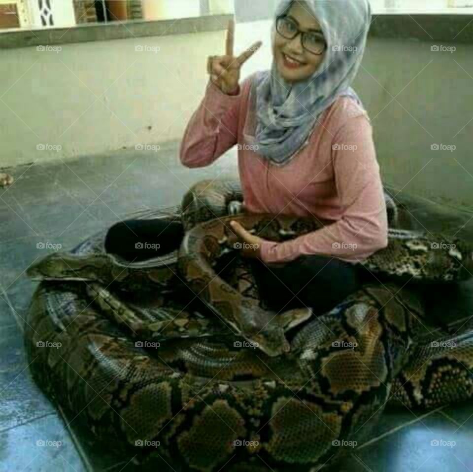 bersama ular