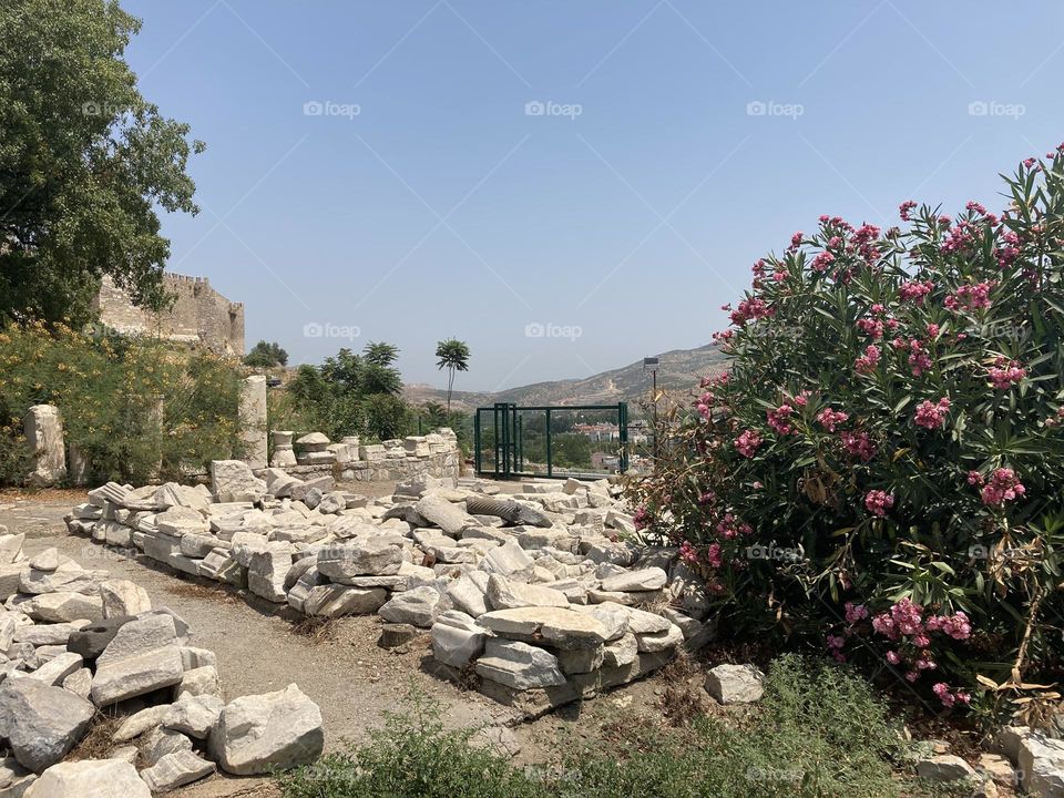 Ancient ruins Sunny holidays I’m Turkey. Walk in the cute city and charming streets by the beach in Kusadasi. perfect blue sky and ocean view. Beach and the shore. To travel is to live. Gorgeous tall palm trees.