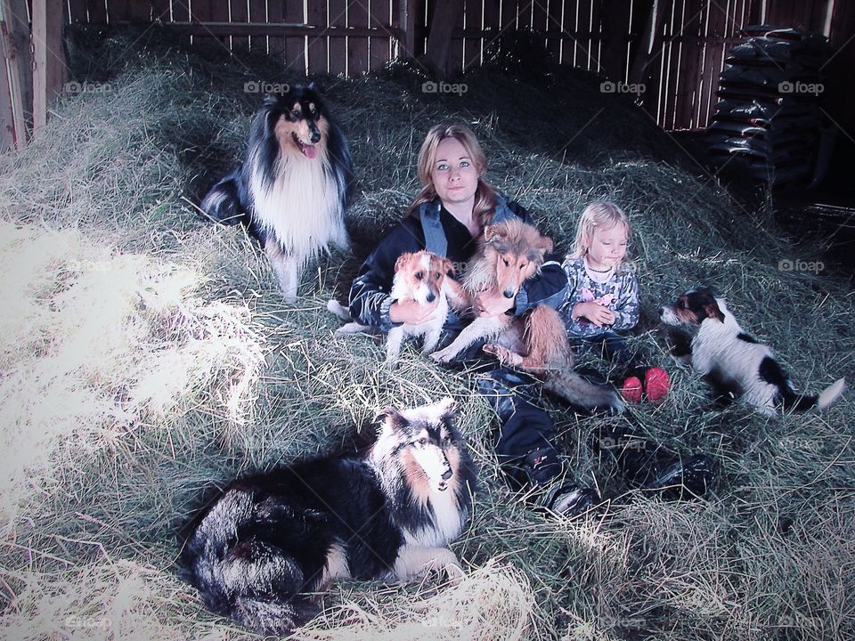 What a family :). Mother and daughter together in the hay with all the dogs