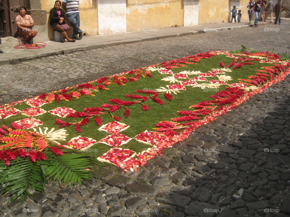 Flower, People, Offense, No Person, Street