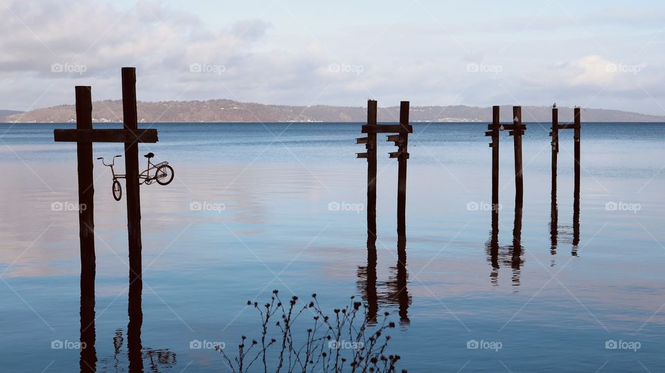 Waterfront shadows 