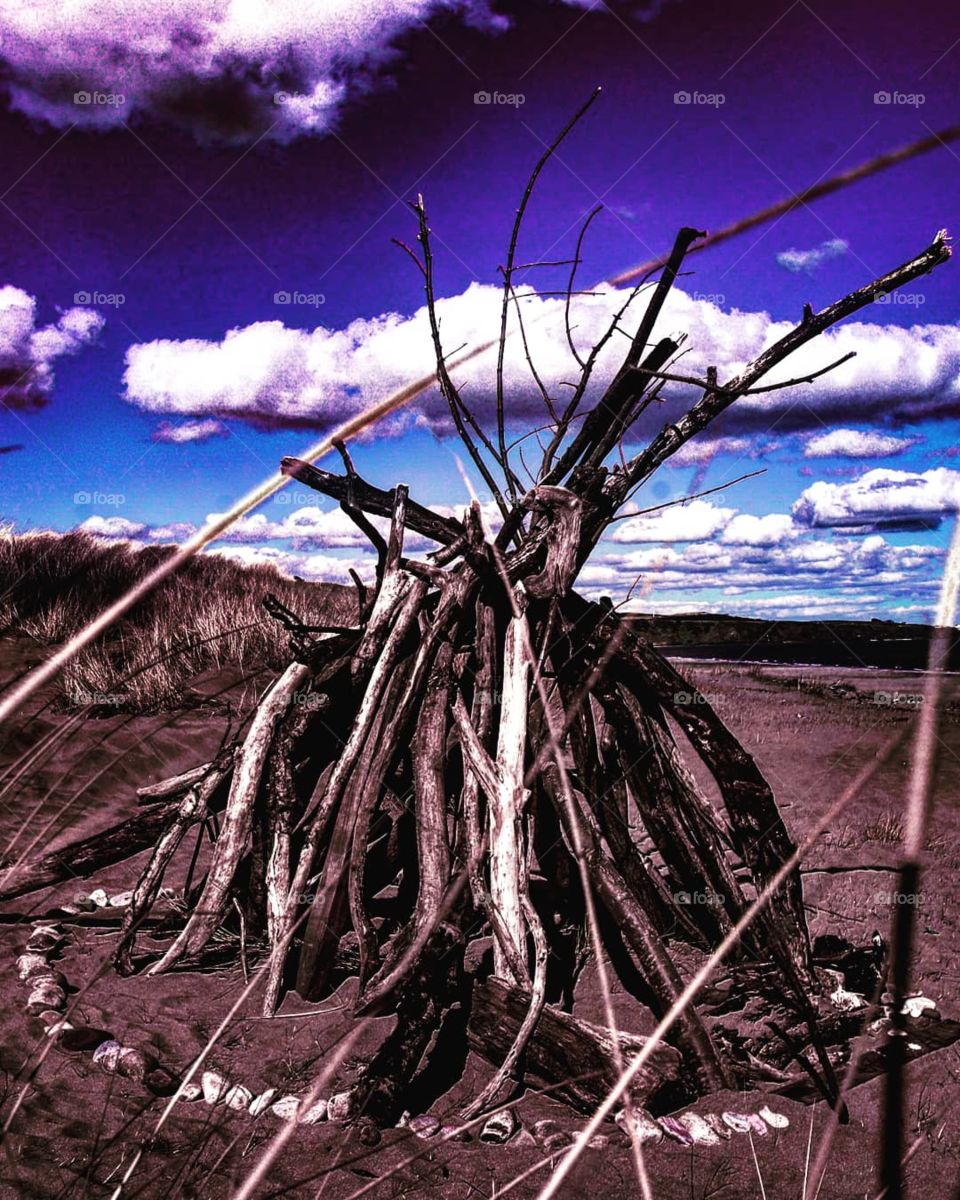driftwood stack at st Cyrus