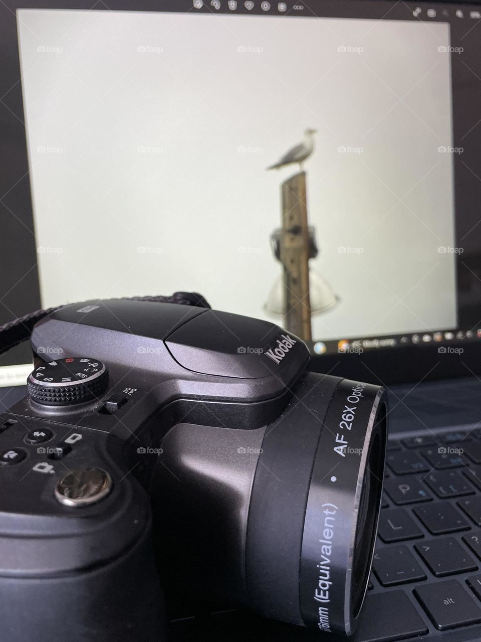 Focused more on my Kodak camera, on my HP laptop, with a simple seagull perched on a wood post (one of my great shots, but you cant tell with the focus on the camera) in the background, for this Foaper mission