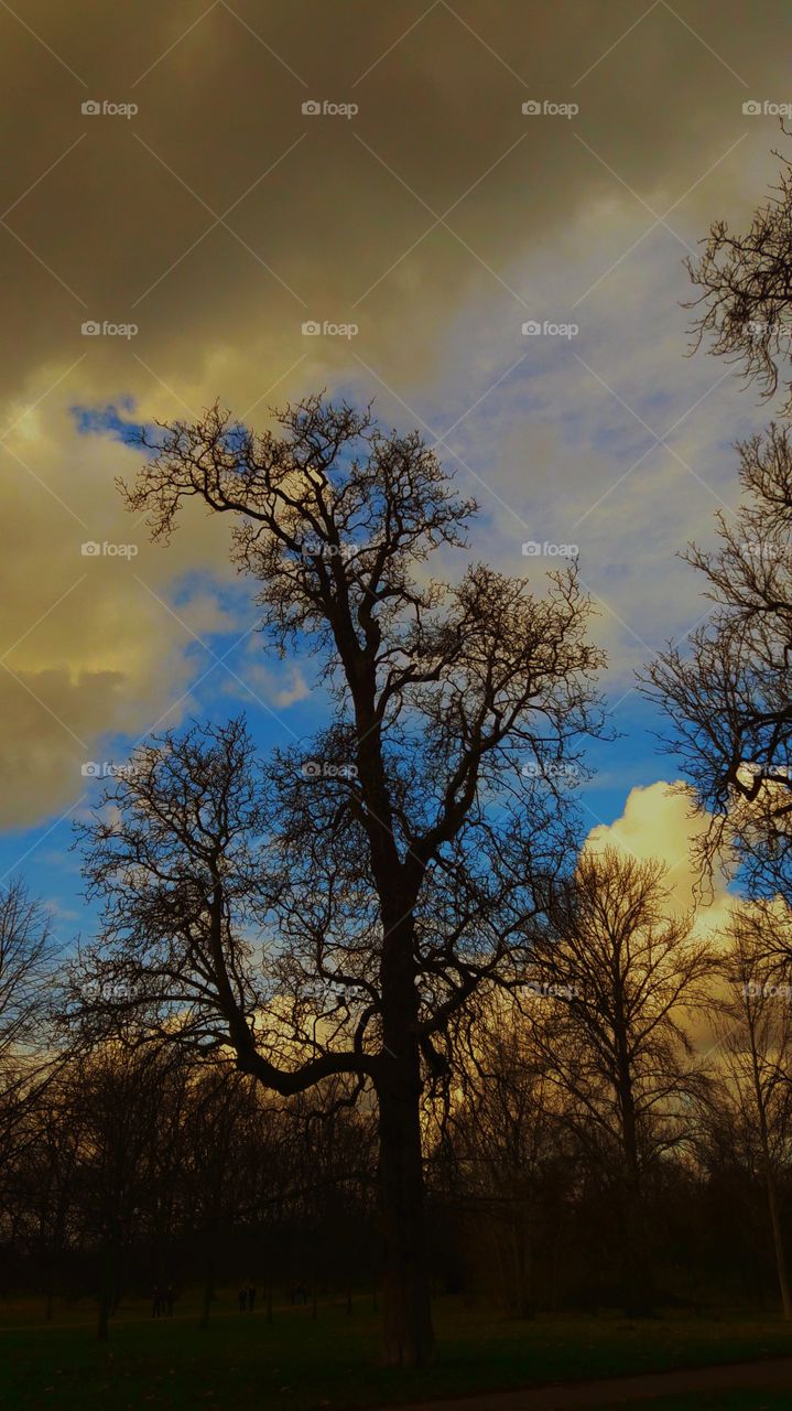 La huella de las nubes.