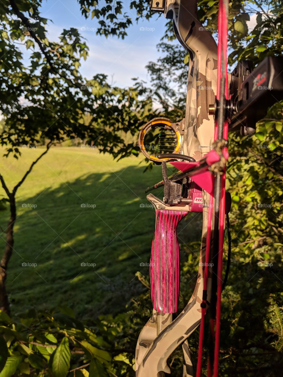 hoyt pink bow