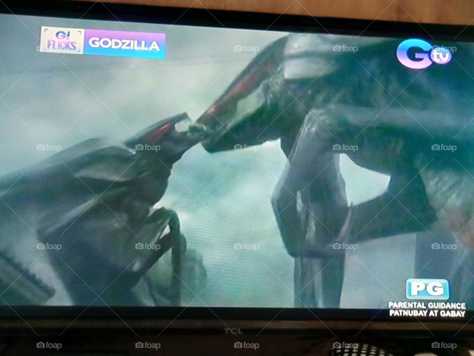 WATCHING MOVIE, GODZILLA,, THE MALE AND FEMALE ENEMY OF GODZILLA IS HAVING AN INTIMATE MOMENT, TAKE YOUR TIME,, AS YOUR TIME IS ALMOST ENDING