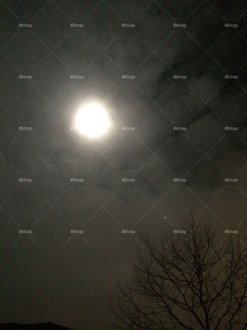 A bright moon over a tree.