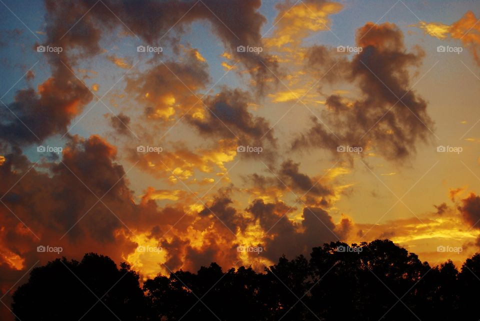 Silhouette of trees against dramatic sky