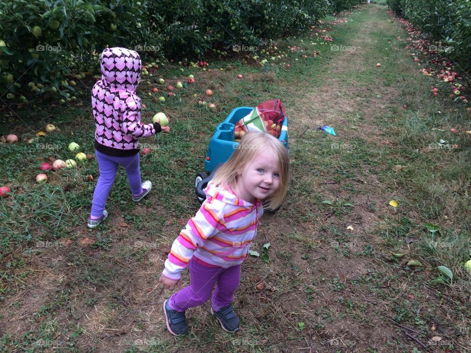 Kids apple picking 