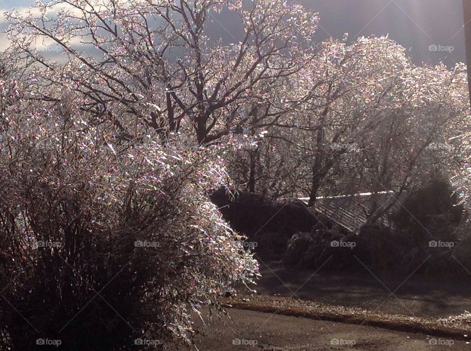 Ice Storm 1