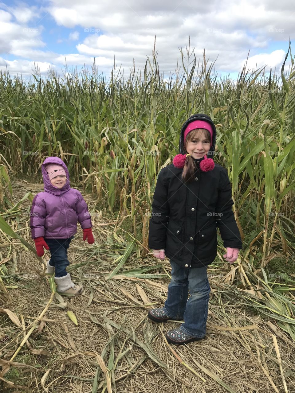 Corn maze fun!