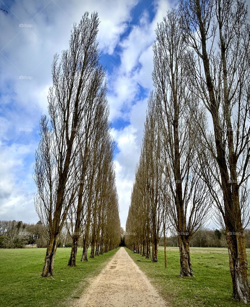 Richelieu Park , France March 2023 . 