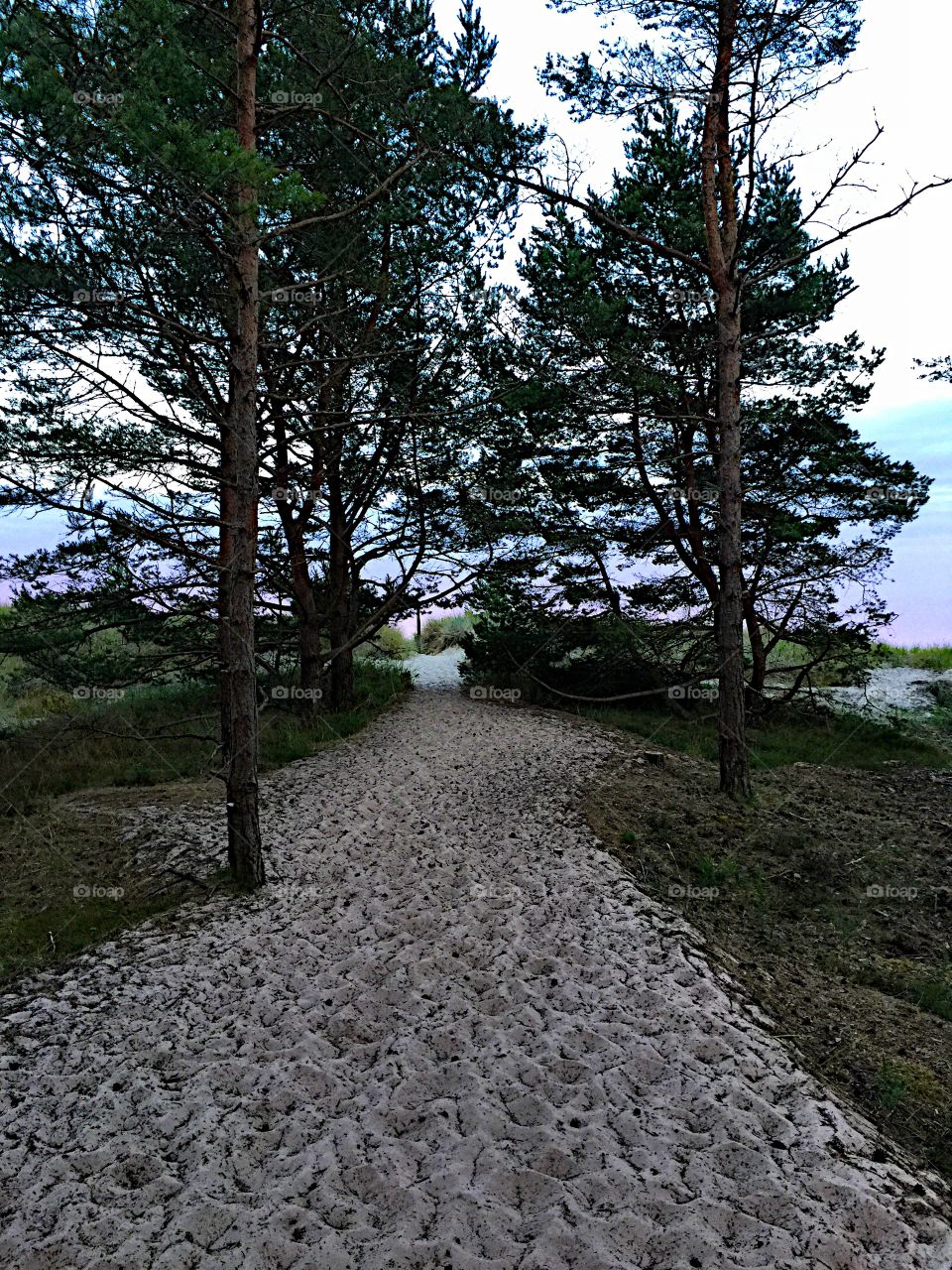 Sandy path to the beach! 