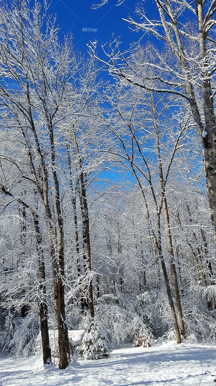 Beautiful winter day!