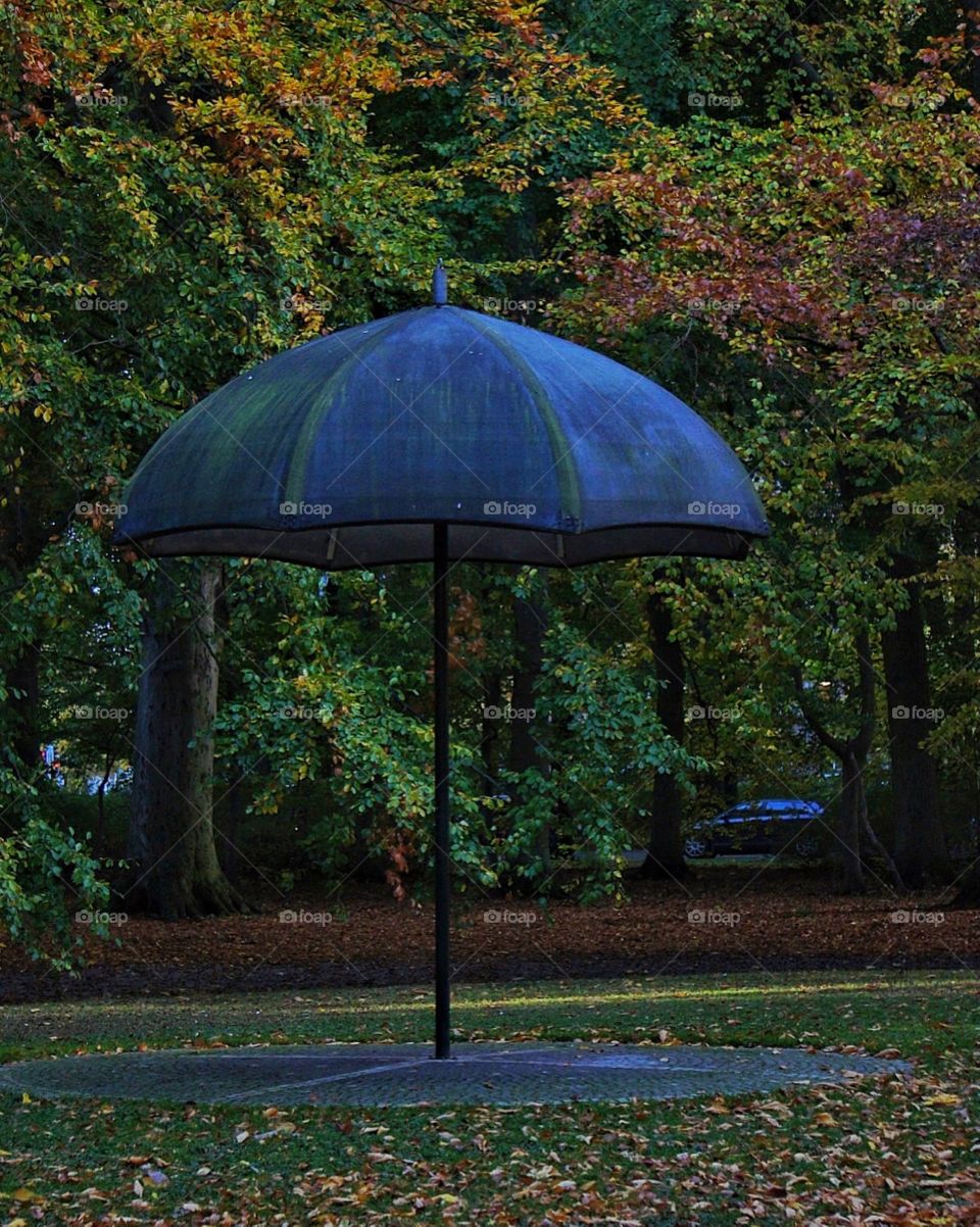 umbrella