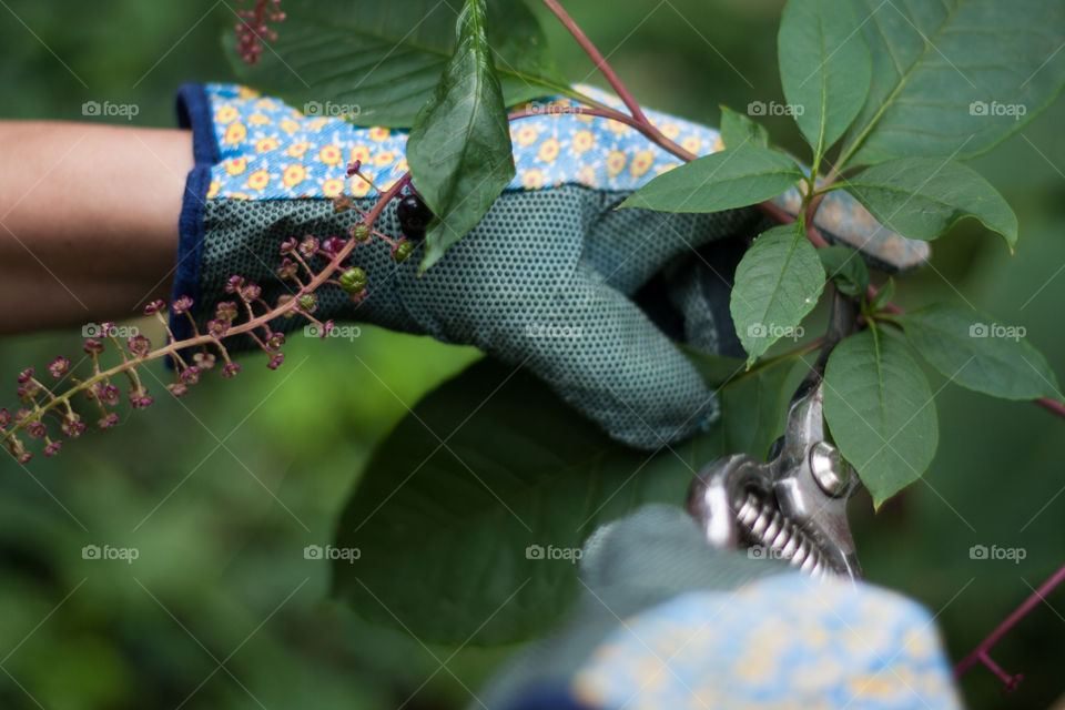 Working in the garden