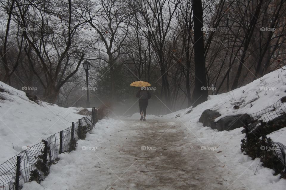 A yellow umbrella in the midst of the foggy winter air in Central Park reminds us of the coming Spring season. 