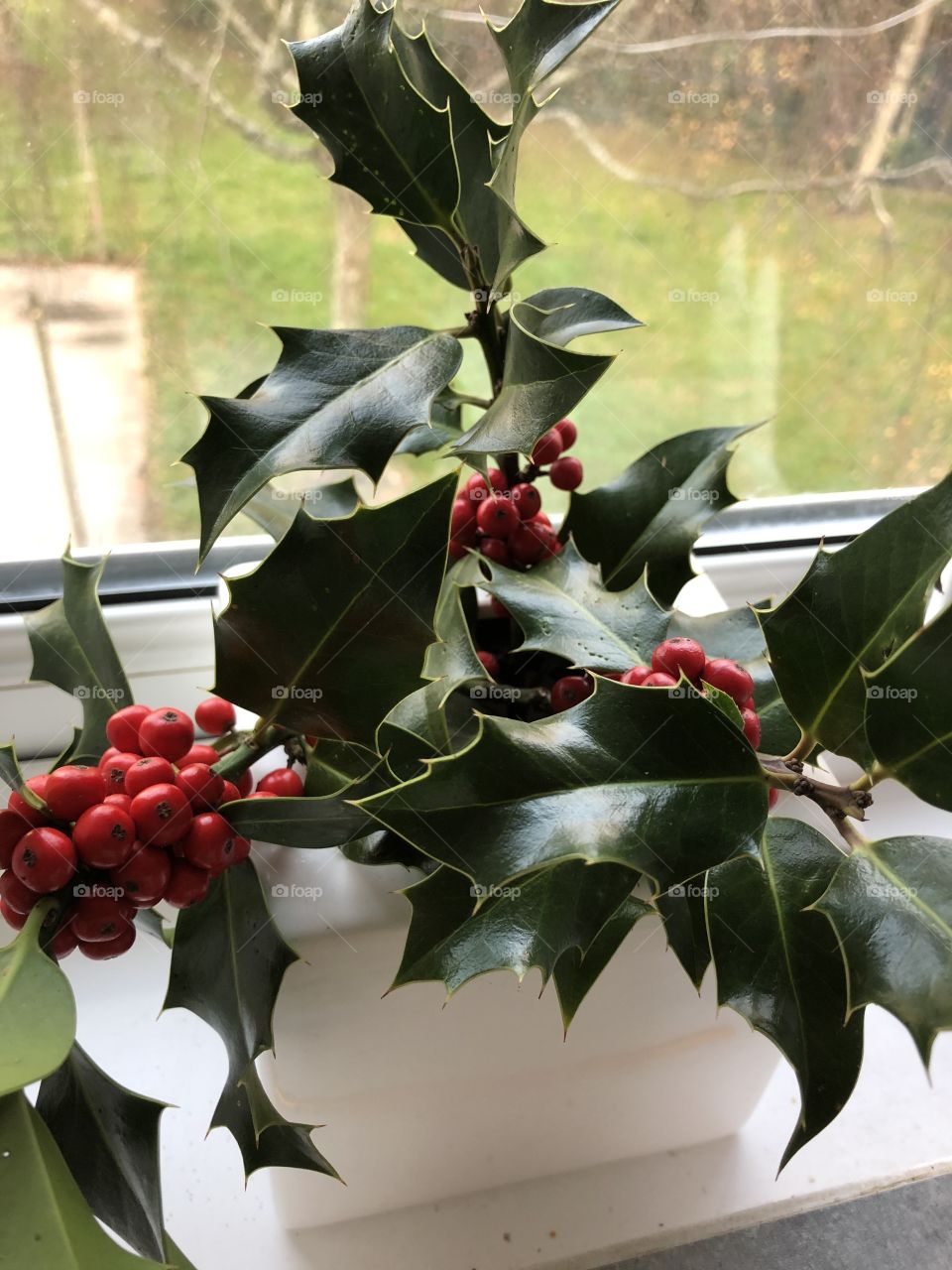 Holly is perfect for this season 