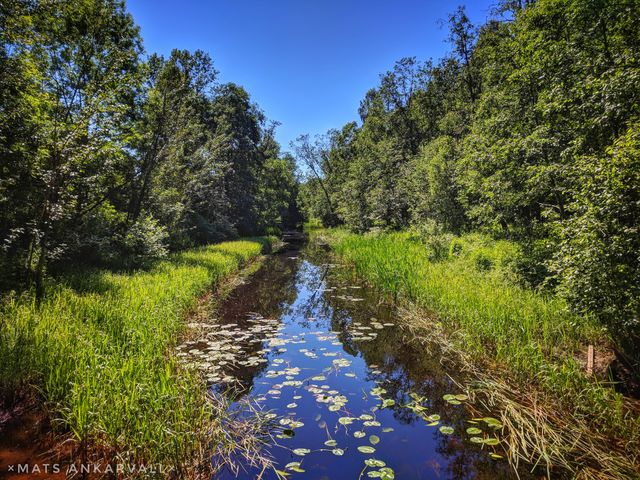 beautiful little river
