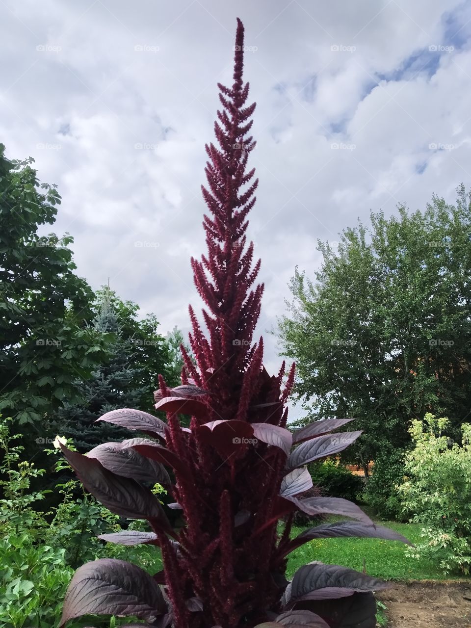 He's reaching for the clouds.