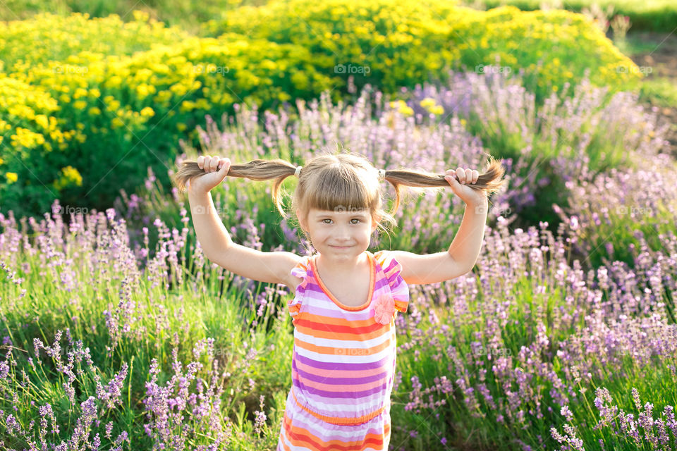 Nature, Flower, Summer, Grass, Outdoors