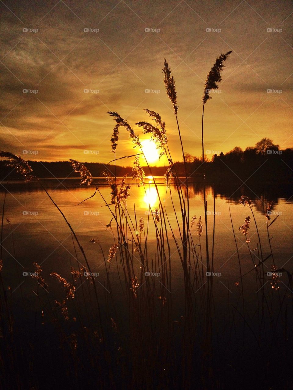 Sunset over the lake