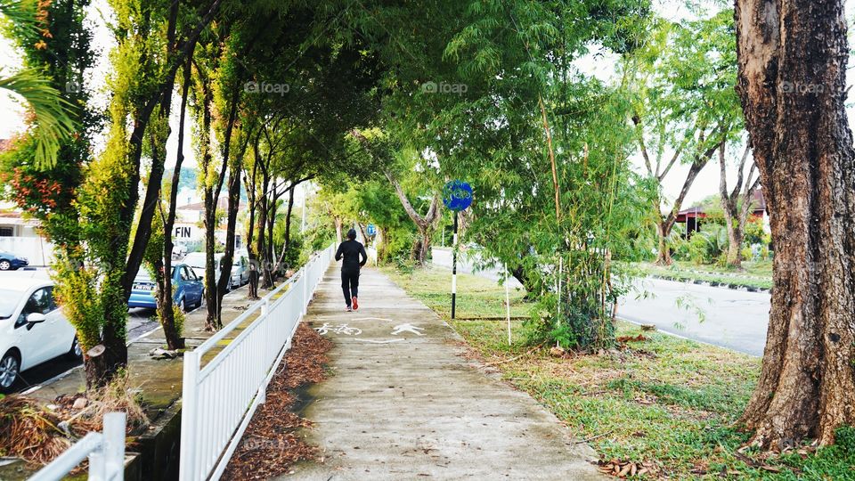 In every walk with nature, one receives far more than he seeks.Each fresh peak ascended teaches something.Look deep into nature and you will understand everything better.To walk in nature is to witness a thousand miracles.