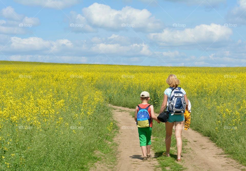 family mother and son walking outdoor rapeseed field background spring and summer time