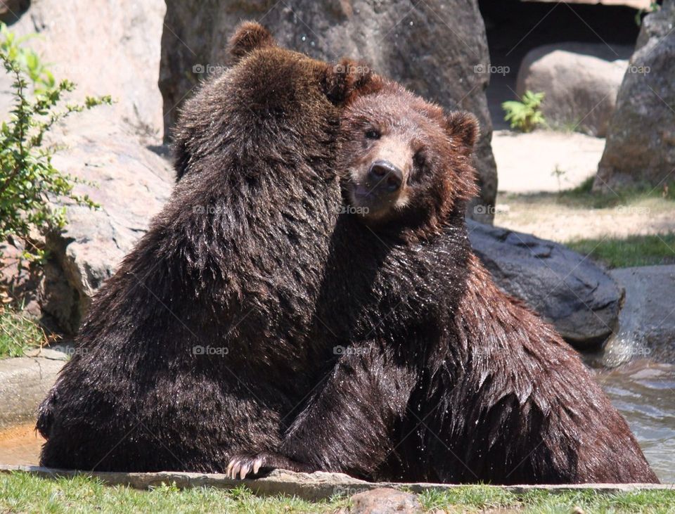 Bear hug