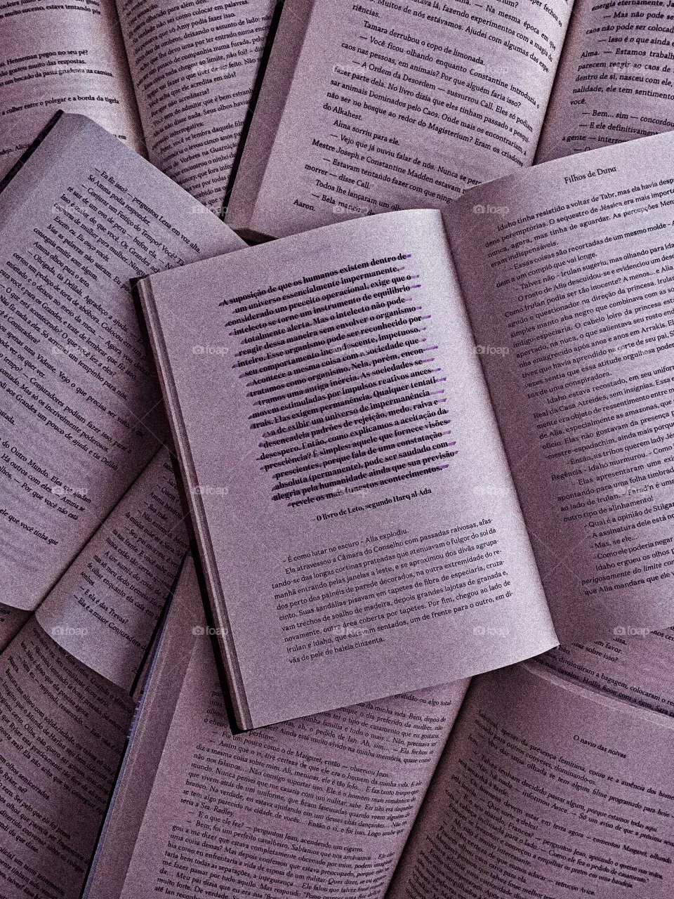 books books books books (children of dune quote) 