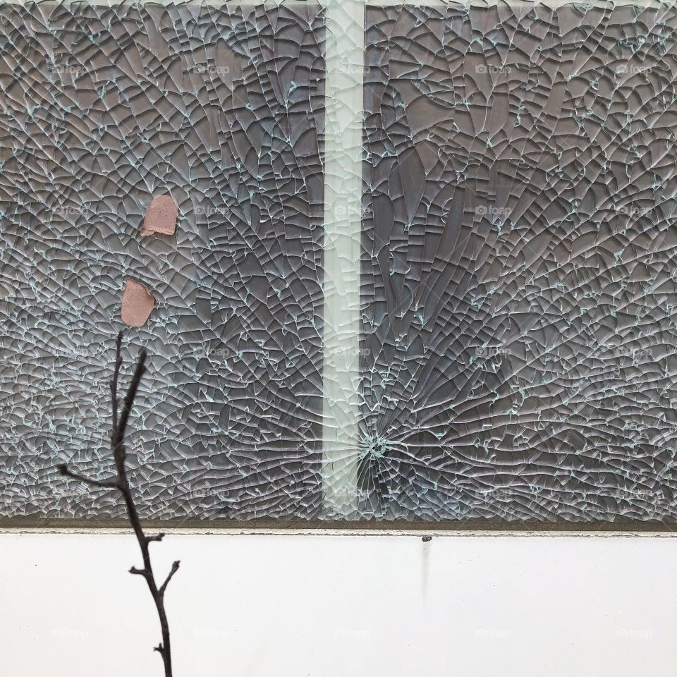 Shattered glass and wall with twig and leaf in front. Space for copy below.