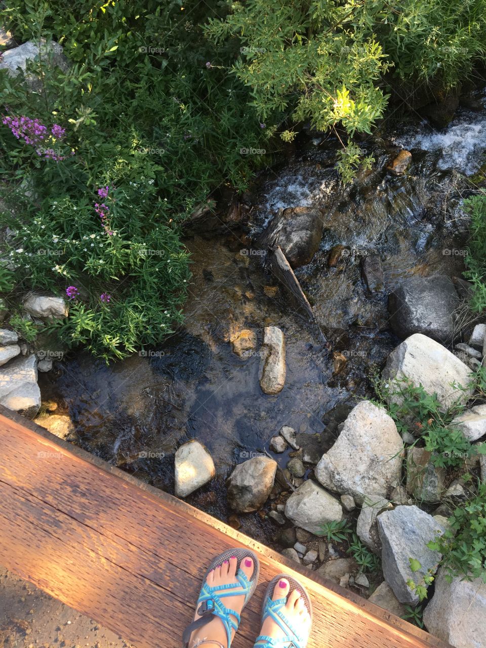 A trickling stream in rural Montana. 