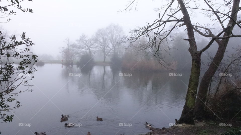 Misty mornings reflections 