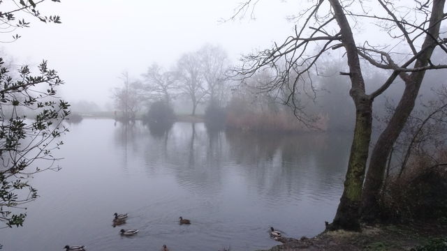 Misty mornings reflections 