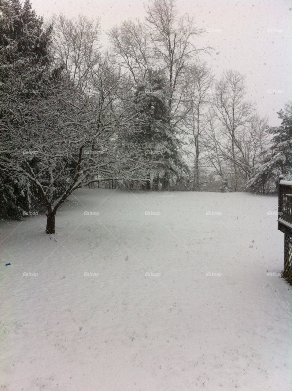 my yard quakertown pa snow winter white my yard by snowangel