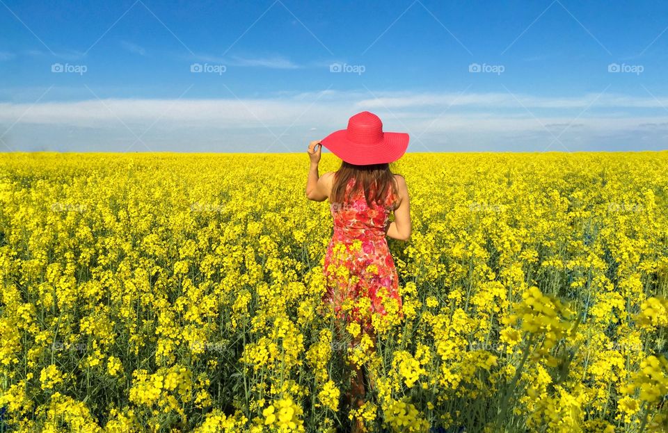 Rear view of women standing in flowers field