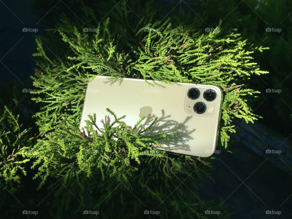 Selfphone among the greenery. iPhone 11 pro