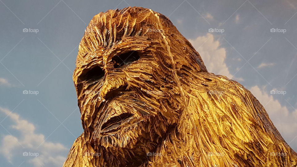 Sasquatch. Saw this in a store wasn't sure if it was Big Foot or Chewbacha.