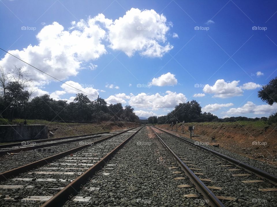 Train tracks amidst the forest against cloudy sky