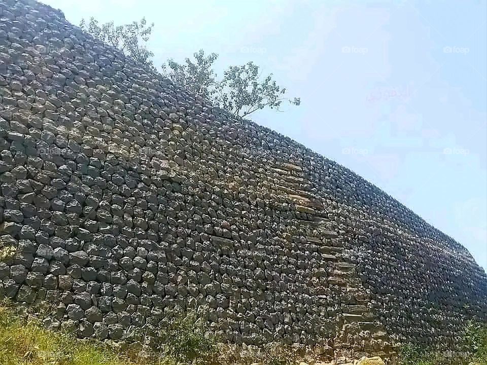 A very beautiful picture, and there is no better picture than it. There is no better picture of green herbs and colorful, red and white roses than it. Glory be to God, the natural and picturesque view, and there is no more