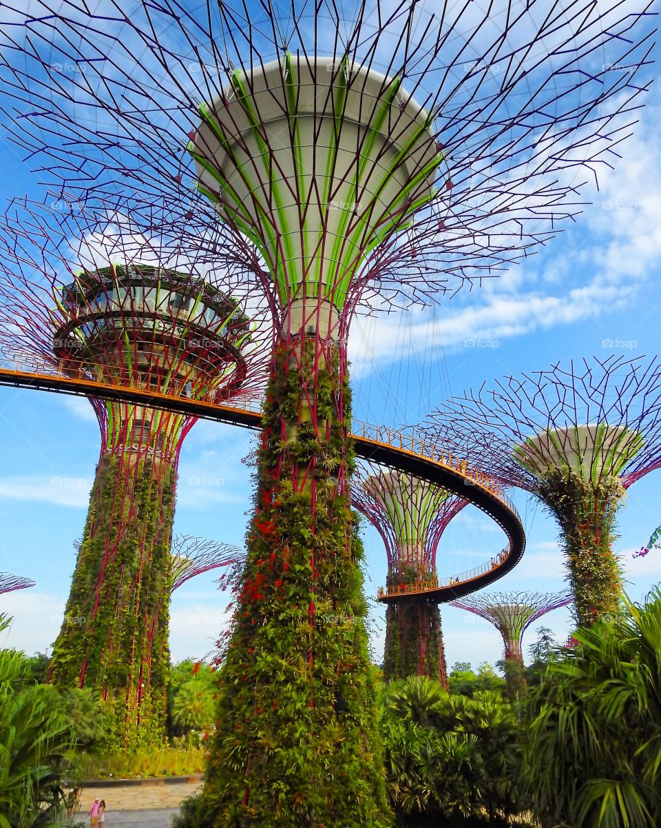 Gardens By the bay